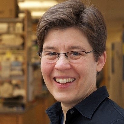 Jennifer A. Lewis