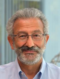 Nader Engheta