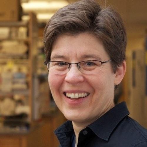 Jennifer A. Lewis