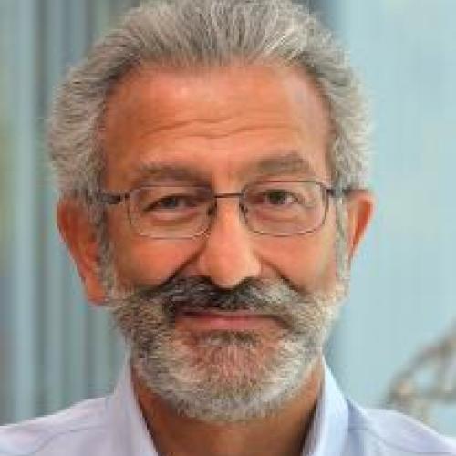 Nader Engheta
