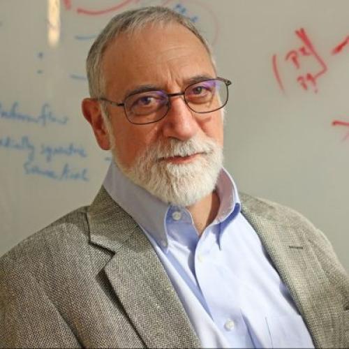 Daniel Koditschek