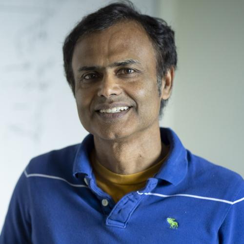 Kaushik Roy
